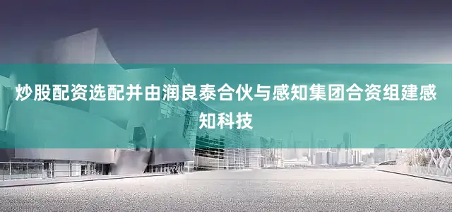 炒股配资选配并由润良泰合伙与感知集团合资组建感知科技